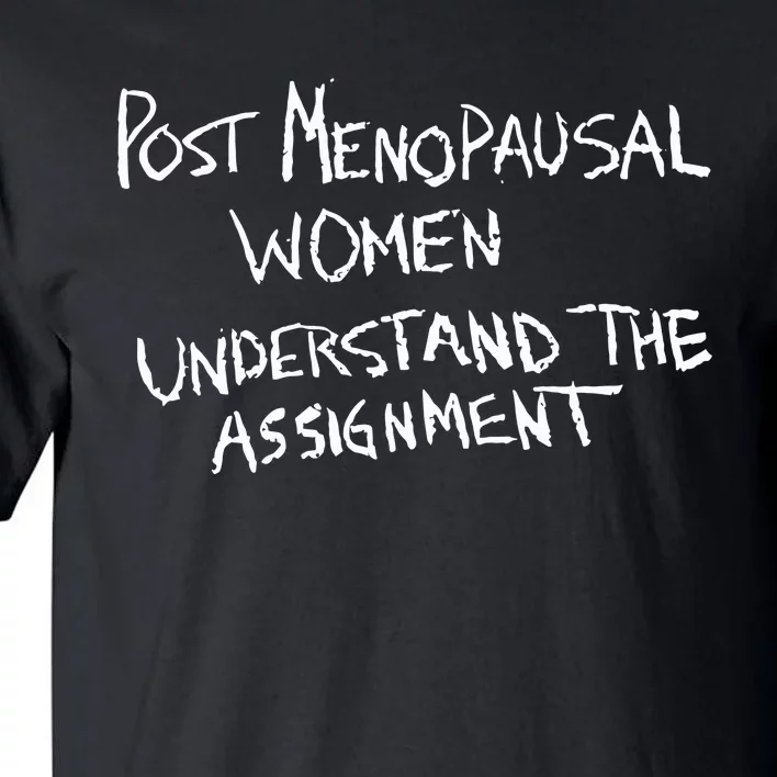 Karin Schall Post Menopausal Women Understand The Assignment Tall T-Shirt