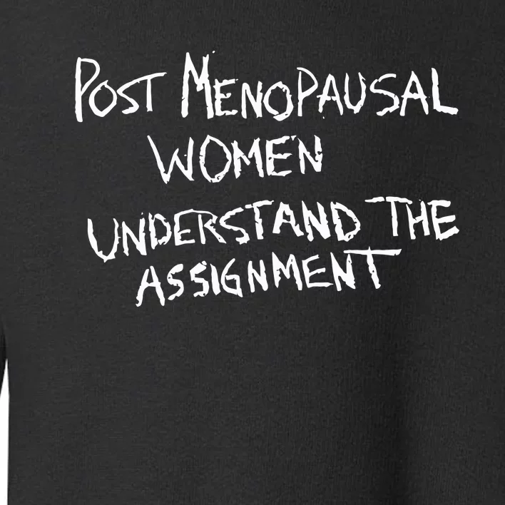 Karin Schall Post Menopausal Women Understand The Assignment Toddler Sweatshirt