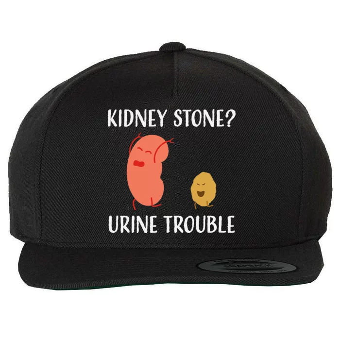 Kidney Stone Survivor Funny Urine Trouble Recovery Gag Gift Wool Snapback Cap