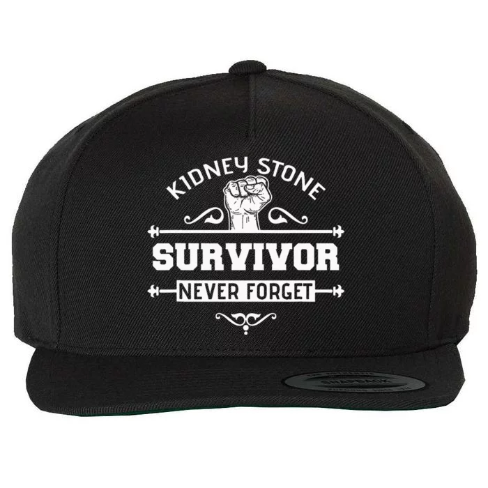 Kidney Stone Survivor Sarcastic Gift Wool Snapback Cap