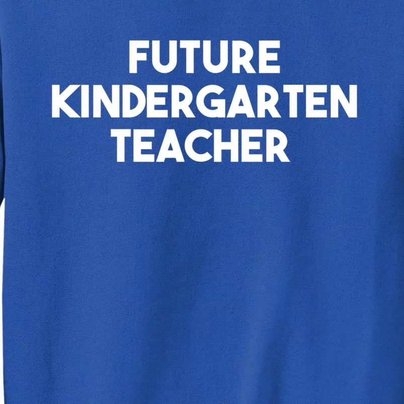 Kindergarten Teacher Funny Future Kindergarten Teacher Great Gift Tall Sweatshirt