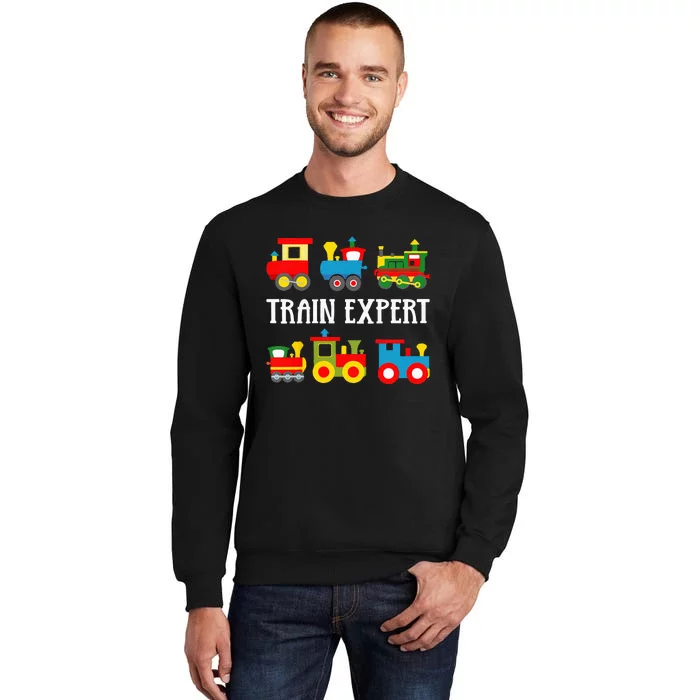 Kids Trains Funny Train Expert Kids Sweatshirt