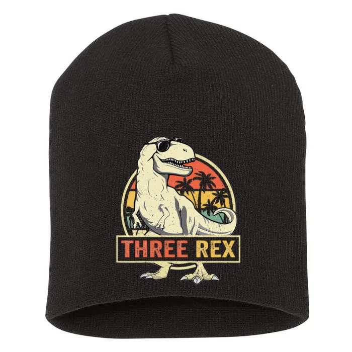 Kids Three Rex 3rd Birthday Third Dinosaur 3 Year Old Short Acrylic Beanie