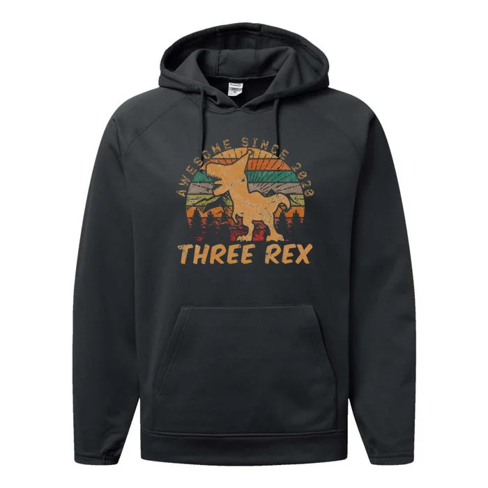 Kids Three Rex 3rd Birthday Gifts Third Dinosaur 3 Year Old Performance Fleece Hoodie