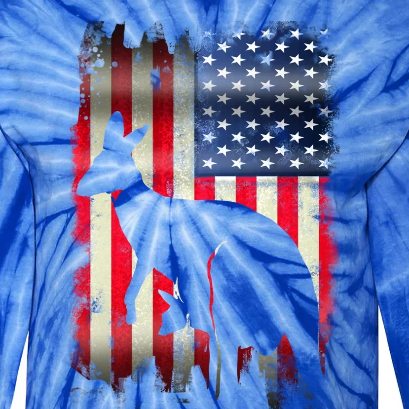 Kangaroo Usa American Flag 4th Of July Patriotic Gift Tie-Dye Long Sleeve Shirt