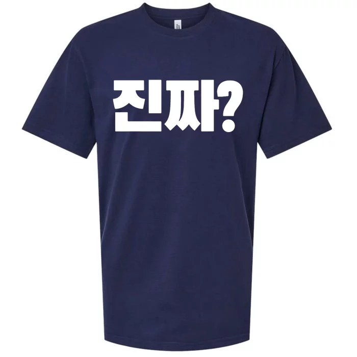 Korean Word Really Jinjja Korean Language Alphabet Hangul Sueded Cloud Jersey T-Shirt