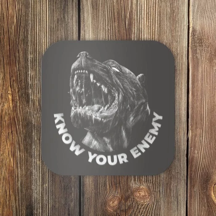 Know Your Enemy Realistic Pitbull Dog Coaster