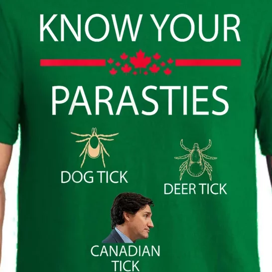 Know Your Parasites Dog Tick Deer Tick Canadian Tick Pajama Set