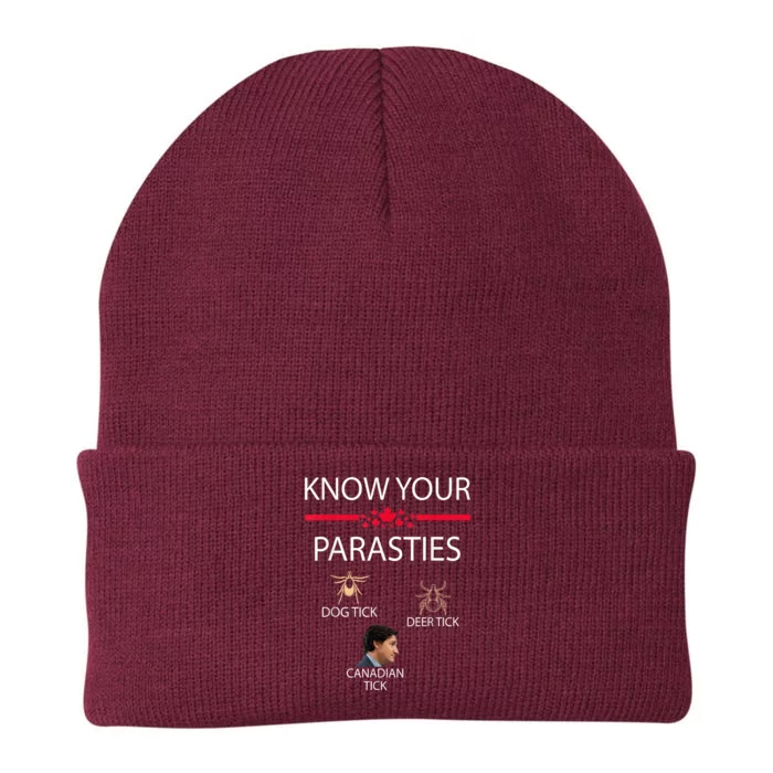 Know Your Parasites Dog Tick Deer Tick Canadian Tick Knit Cap Winter Beanie