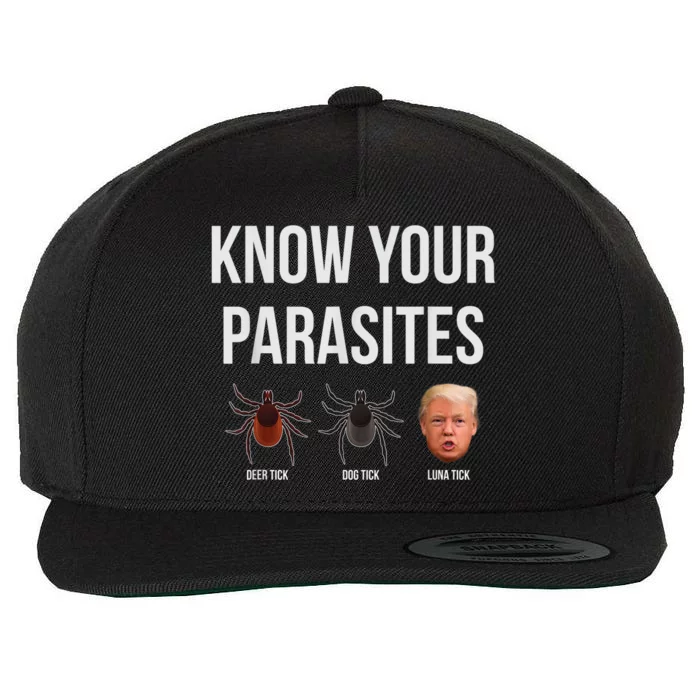 Know Your Parasites Dump President Trump Parasite Lunatic Wool Snapback Cap