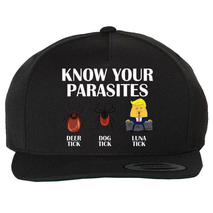 Know Your Parasites Anti Trump Democrat Vote Kamala Wool Snapback Cap