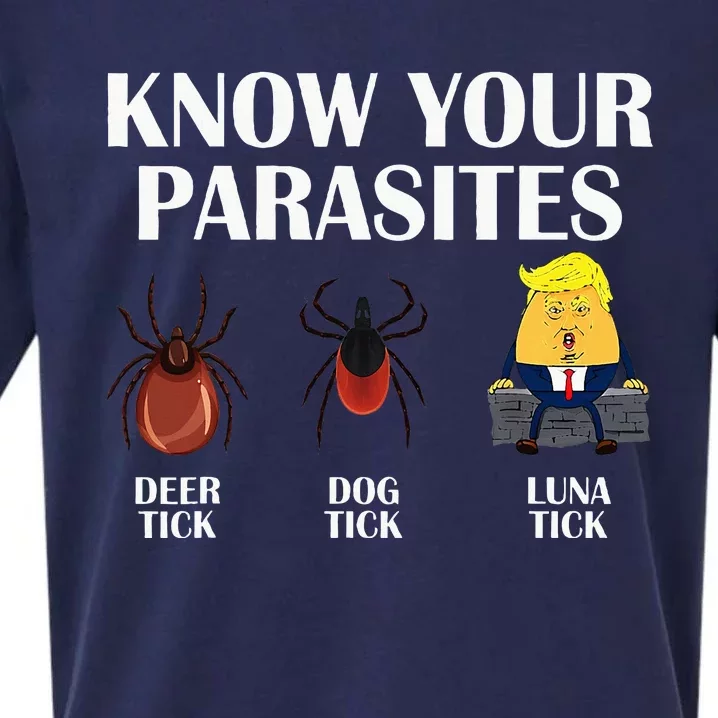 Know Your Parasites Anti Trump Democrat Vote Kamala Sueded Cloud Jersey T-Shirt