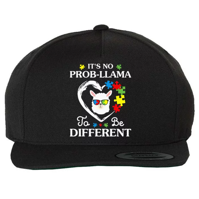 Llama Autism Awareness Gift Be A Little Different Wool Snapback Cap