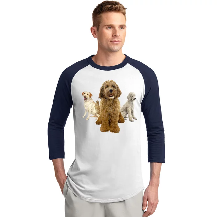 Labradoodle Trio Baseball Sleeve Shirt