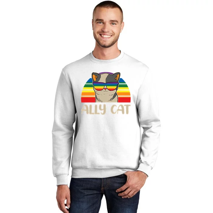 LGBT Ally Cat Pride Cat LGBT Support Equal Rights LGBTQ Pride Month Sweatshirt