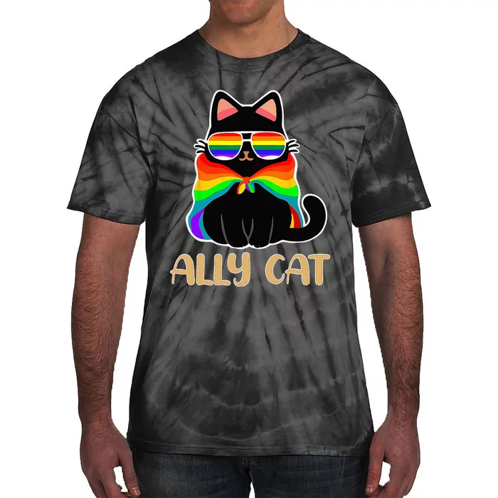 LGBT Ally Cat Be Kind Gay Rainbow Funny LGBTQ Gift Idea Tie-Dye T-Shirt