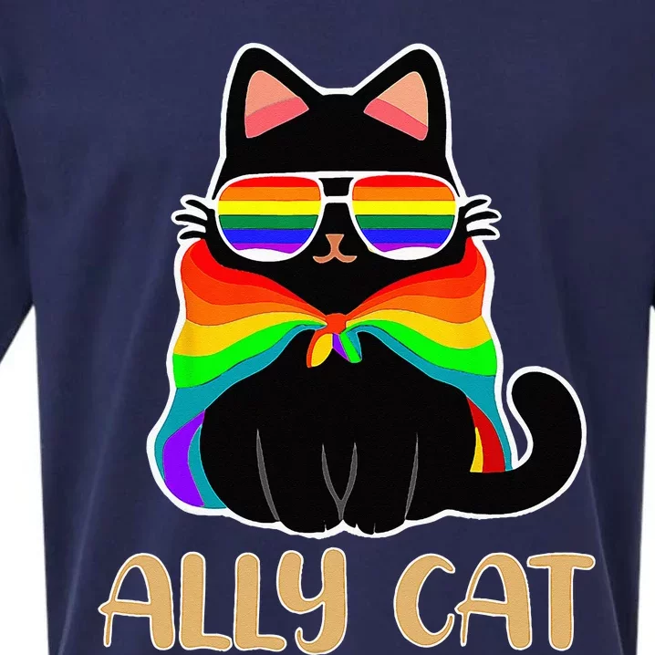 LGBT Ally Cat Be Kind Gay Rainbow Funny LGBTQ Gift Idea Sueded Cloud Jersey T-Shirt