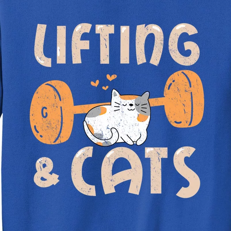 Lifting And Cats Funny Cat Lovers Gym Funny Weightlifting Cute Gift Tall Sweatshirt