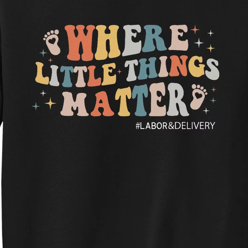 Labor and Delivery Nurse L&D Where Little Things Matter Sweatshirt