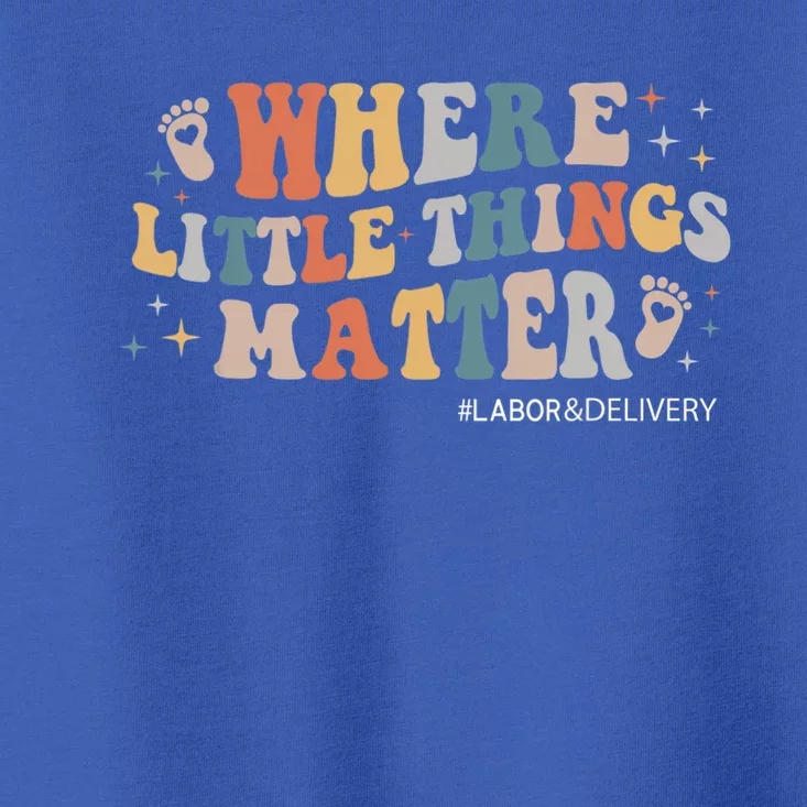 Labor And Delivery Nurse L And D Where Little Things Matter Gift Toddler T-Shirt