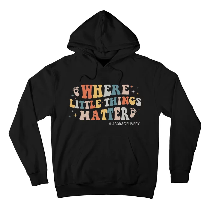 Labor And Delivery Nurse L&D Where Little Things Matter Hoodie