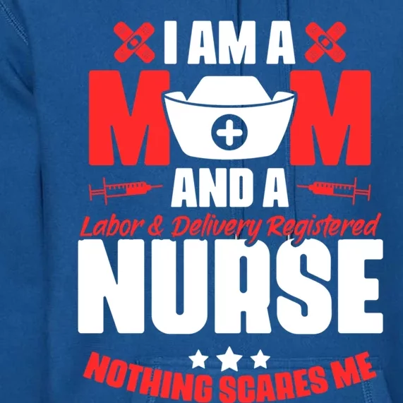 Labor And Delivery Nurse Mom Medical Rn Nursing L And Dn Gift Premium Hoodie