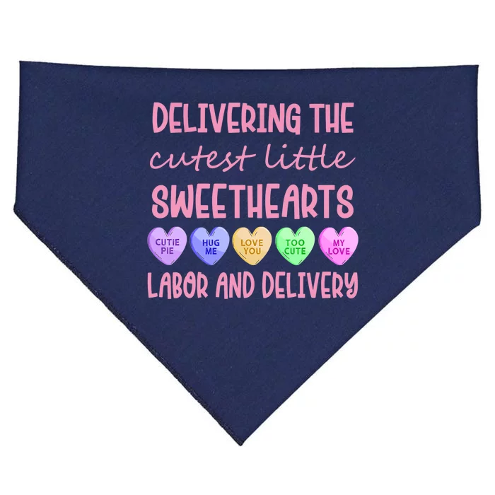 Labor And Delivery Nurse Valentine's Day, L&D Nurse USA-Made Doggie Bandana