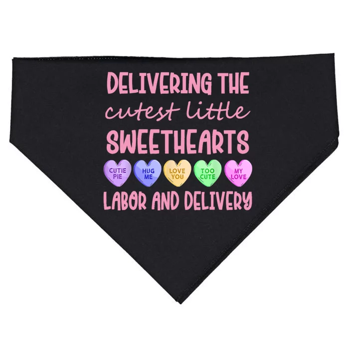 Labor And Delivery Nurse Valentine's Day, L&D Nurse USA-Made Doggie Bandana