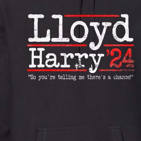 Lloyd and Harry Election 2024 Dumb n Dumber politics humor Premium Hoodie