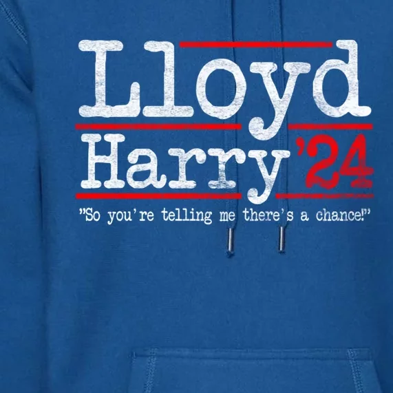 Lloyd And Harry Election 2024 Dumb N Dumber Politics Humor Cute Gift Premium Hoodie