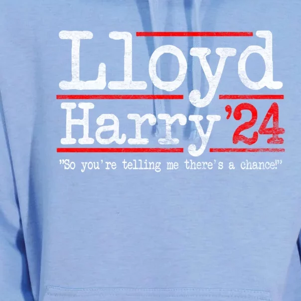 Lloyd And Harry Election 2024 Dumb N Dumber Politics Humor Cute Gift Unisex Surf Hoodie