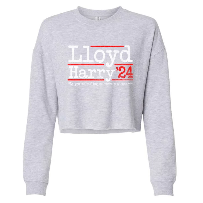 Lloyd And Harry Election 2024 Dumb N Dumber Politics Humor Gift Cropped Pullover Crew