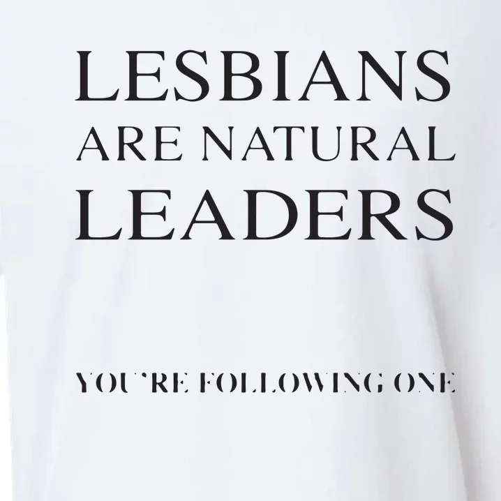 Lesbians Are Natural Leaders Lesbian Shirts Lesbian Pride Sueded Cloud Jersey T-Shirt