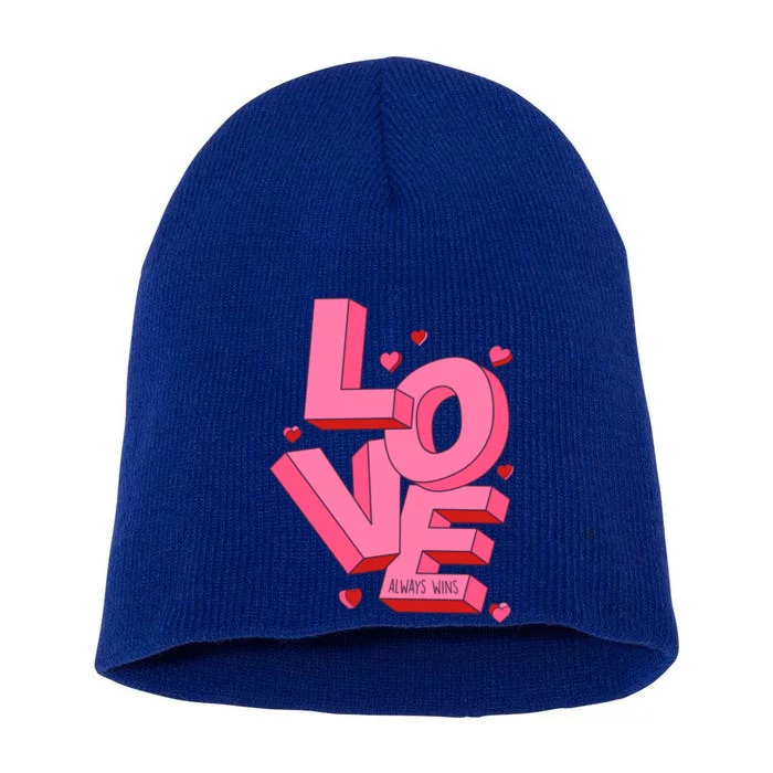 Love Always Wins Modern Valentine Pink Gift Short Acrylic Beanie