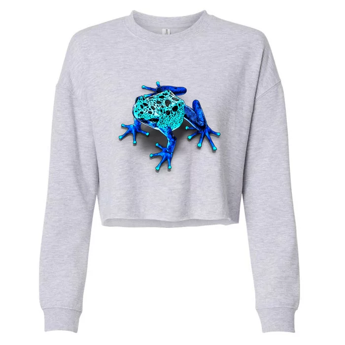 Little Blue Frog With Spots Cropped Pullover Crew