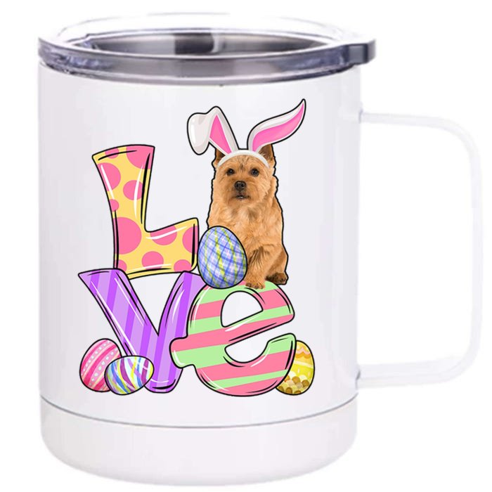 Love Bunny Norwich Terrier Dog Easter Eggs Easter Day Funny Gift Front & Back 12oz Stainless Steel Tumbler Cup