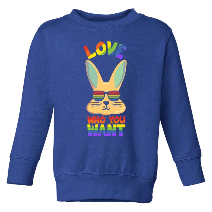 Lgbt Bunny Rabbit With Glasses Pride Lgbtq Love Who You Want Cute Gift Toddler Sweatshirt