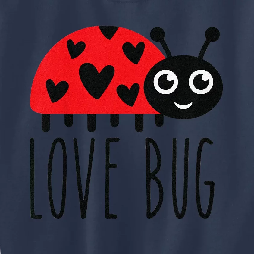 Love Bug Valentine's Day, Cute Ladybug With Hearts Gift Kids Sweatshirt