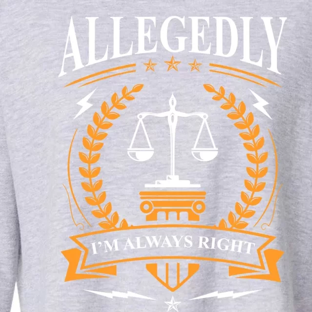 Lawyer Court Attorney Law School Student Gift Future Lawyers Gift Cropped Pullover Crew