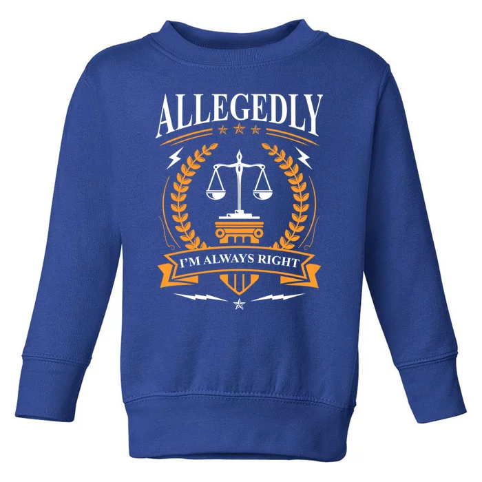 Lawyer Court Attorney Law School Student Cute Gift Future Lawyers Gift Toddler Sweatshirt