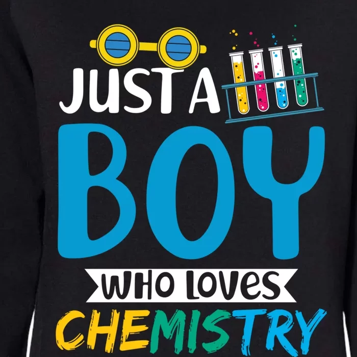 Lab Chemist Boys Laboratory Science Nerd Chemistry Sweatshirt Womens California Wash Sweatshirt