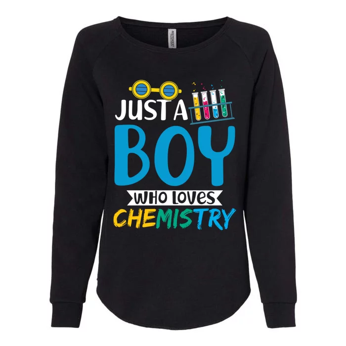 Lab Chemist Boys Laboratory Science Nerd Chemistry Sweatshirt Womens California Wash Sweatshirt