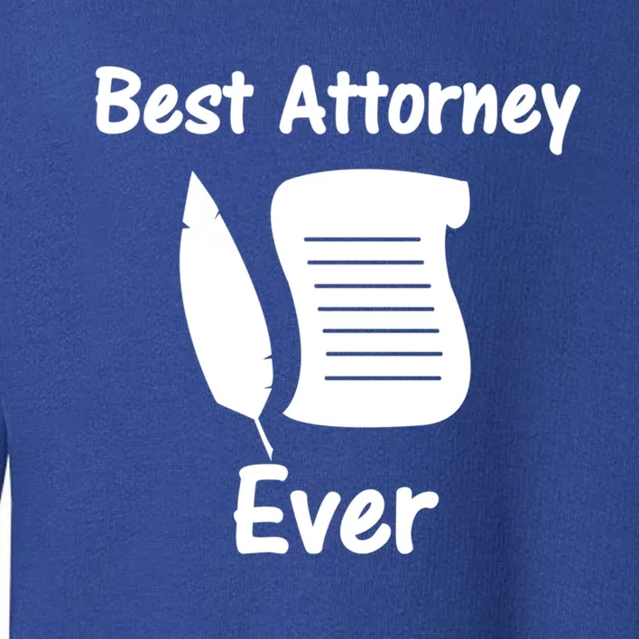 Law Clerk For Lawyer Gift Toddler Sweatshirt