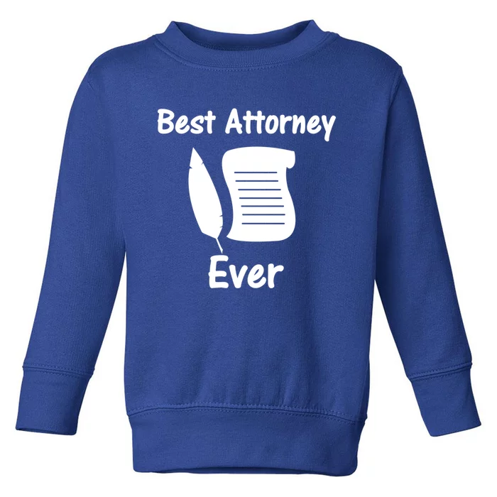 Law Clerk For Lawyer Gift Toddler Sweatshirt