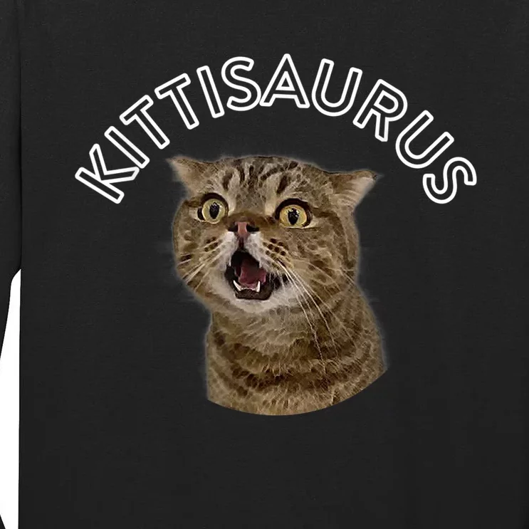 Lulusaurus Cute Kittens Cat Lover Tall Long Sleeve T-Shirt