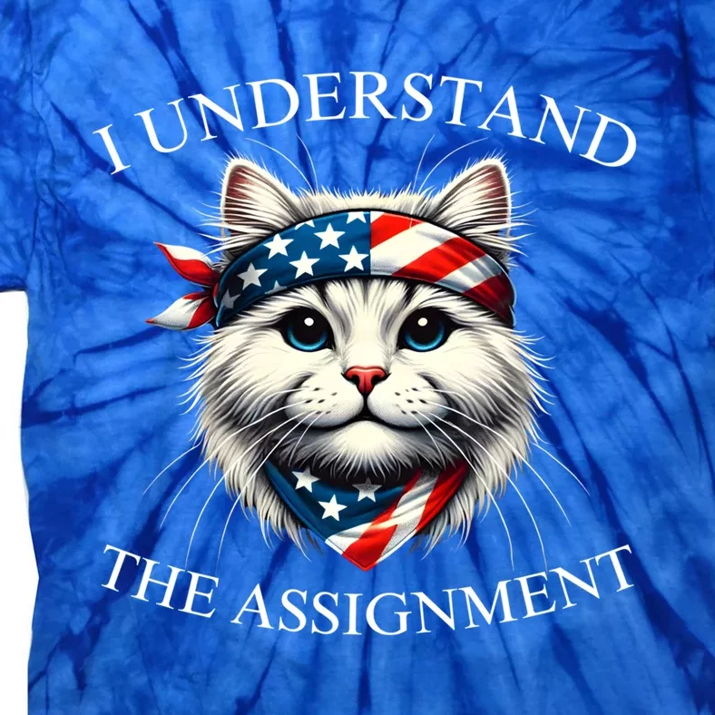 Less Cat Lady Kamala 2024 I Understand The Assignt Meaningful Gift Tie-Dye T-Shirt