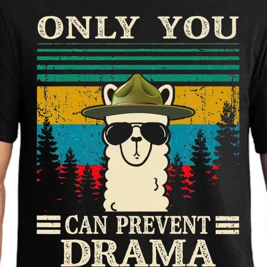 Llama Camping Only You Can Prevent Drama Gifts Men Women Pajama Set