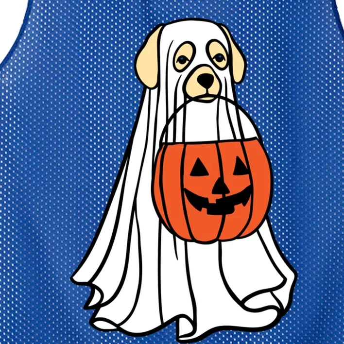 Labrador Dog Ghost Funny Halloween Pumpkin For Dog Lovers Great Gift Mesh Reversible Basketball Jersey Tank