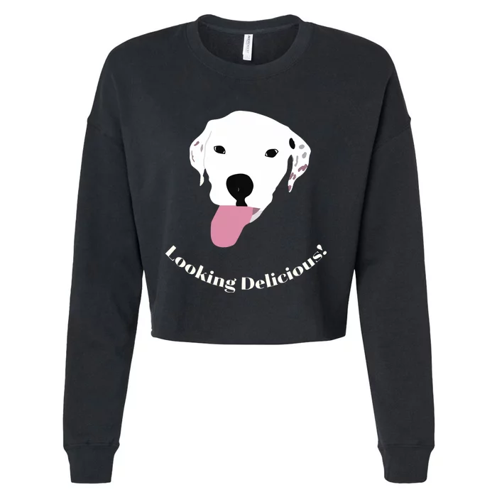 Looking Delicious Remi Cropped Pullover Crew