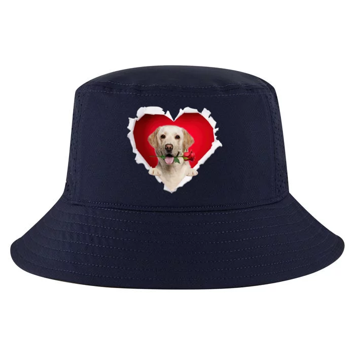 Labrador Dog Rose Heart Valentines Day Couple Gift Cool Comfort Performance Bucket Hat